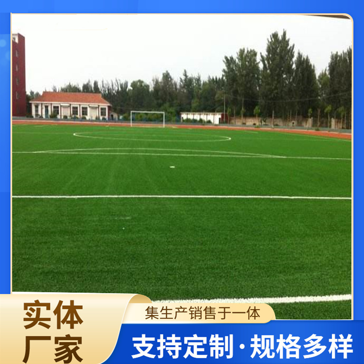鹤岗市硅PU人造草坪 - 推荐